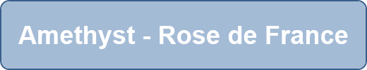 Amethyst - Rose de France